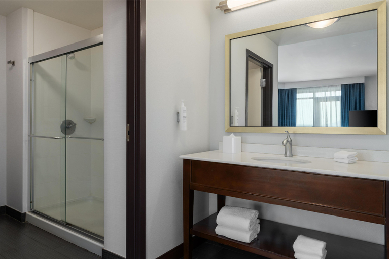 Bathroom 4, Hampton Inn & Suites Roanoke-Downtown, Roanoke City