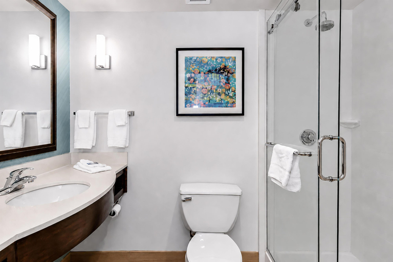 Bathroom 4, Hilton Garden Inn Wallingford/Meriden, New Haven
