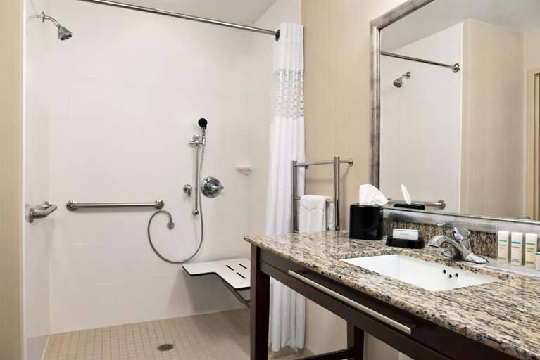 Bathroom 4, Hampton Inn & Suites Corpus Christi, Nueces