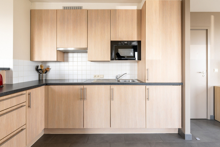 Others 2, Studio Apartment at Zeedijk With Sea View, West-Vlaanderen