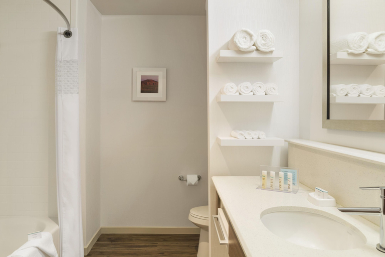 Bathroom 3, Hampton Inn by Hilton Edmonton/Sherwood Park, Division No. 11