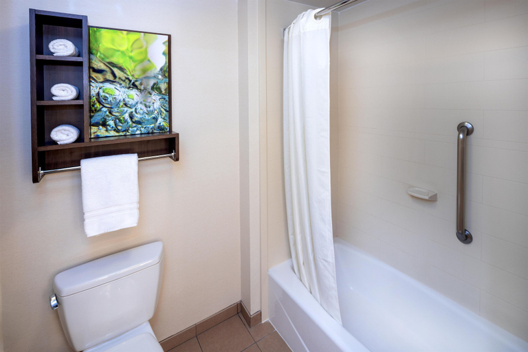 Bathroom 5, Homewood Suites by Hilton Seattle-Issaquah, King