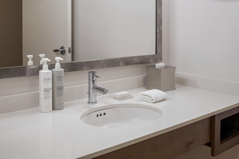 Bathroom 4, Hilton Garden Inn Downtown Dallas, Dallas