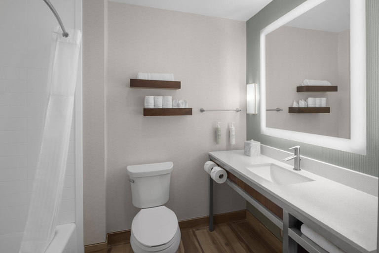 Bathroom 4, Hilton Garden Inn San Marcos, Hays