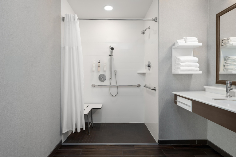 Bathroom 4, Hampton Inn & Suites Memphis Germantown, Shelby