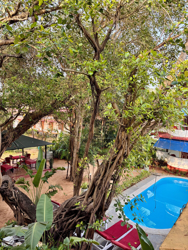 Others 4, Dmellos Seaview Home, North Goa