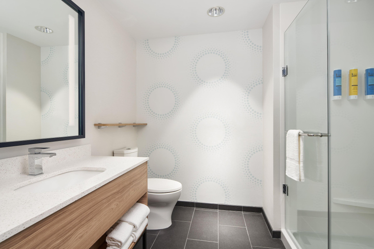Bathroom 4, Tru By Hilton Ft. Lauderdale Airport, Broward