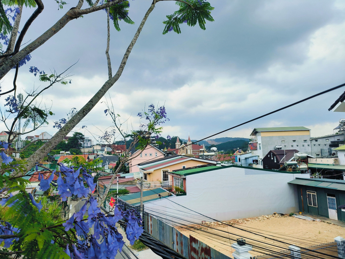 Others 3, BIKA Farmstay and Camping, Đà Lạt