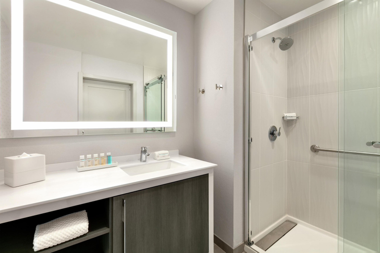 Bathroom 5, Embassy Suites by Hilton Atlanta Midtown, Atlanta