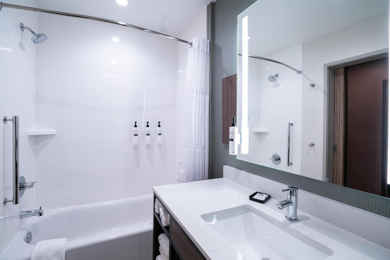 Bathroom 4, Hilton Garden Inn Hoover Birmingham, Jefferson