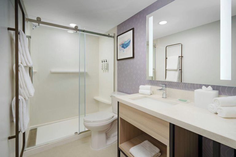 Bathroom 3, Towneplace Suites By Marriott East Hartford, Hartford