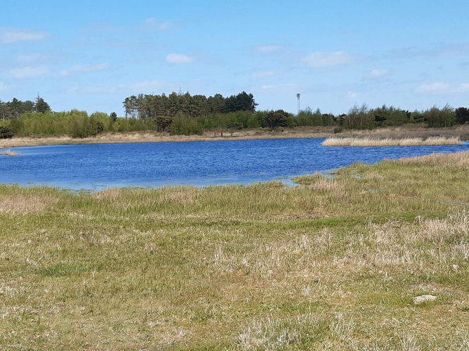 Others 4, 4 Star Holiday Home in Otterup, Nordfyns