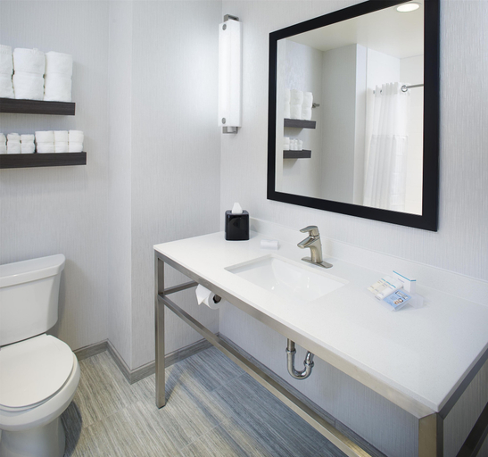 Bathroom 5, Hilton Garden Inn Dallas/Arlington South, Arlington
