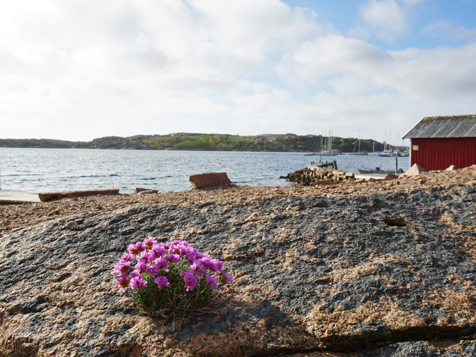 Others 2, 4 Star Holiday Home in Bovallstrand, Sotenäs