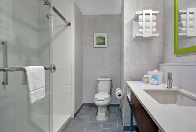 Bathroom 4, Hampton Inn & Suites Middleburg, Clay