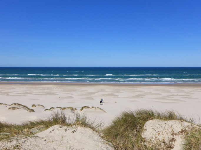 Others 5, 6 Person Holiday Home in Lokken, Jammerbugt