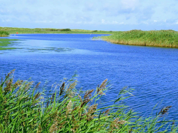 Others, Cozy Holiday Home in Jutland near Sea, Ringkøbing-Skjern