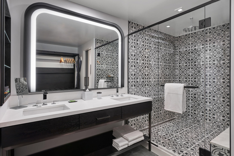 Bathroom 5, Canopy San Antonio Riverwalk, Bexar