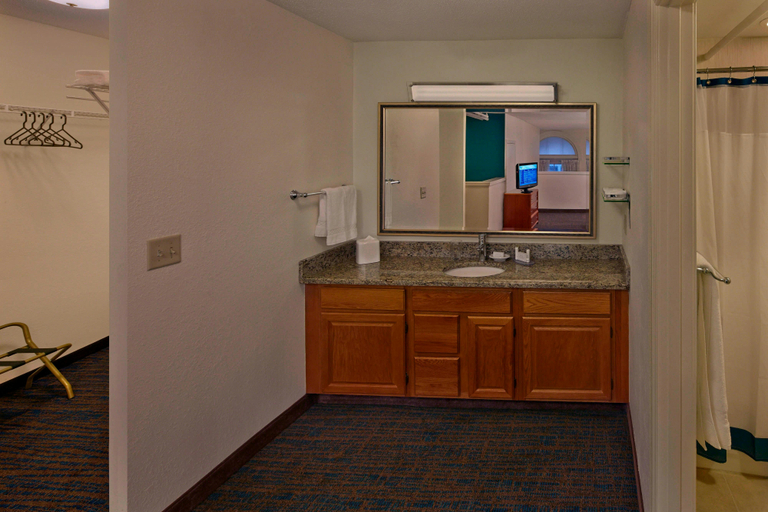 Bathroom, Residence Inn by Marriott Hartford Downtown, Hartford