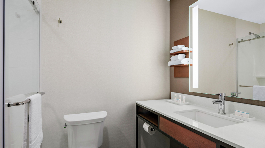 Bathroom 4, Hilton Garden Inn Chicago McCormick Place, Cook
