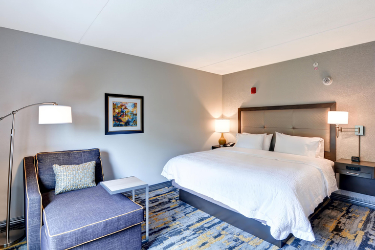 Bedroom 5, Hampton Inn Atlanta Kennesaw, Cobb