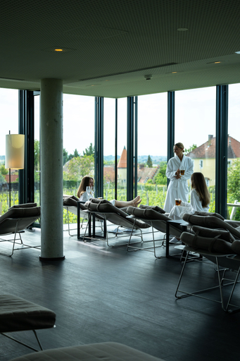 Public Area 4, Wine & Spa Hotel Langenlois, Krems an der Donau Land