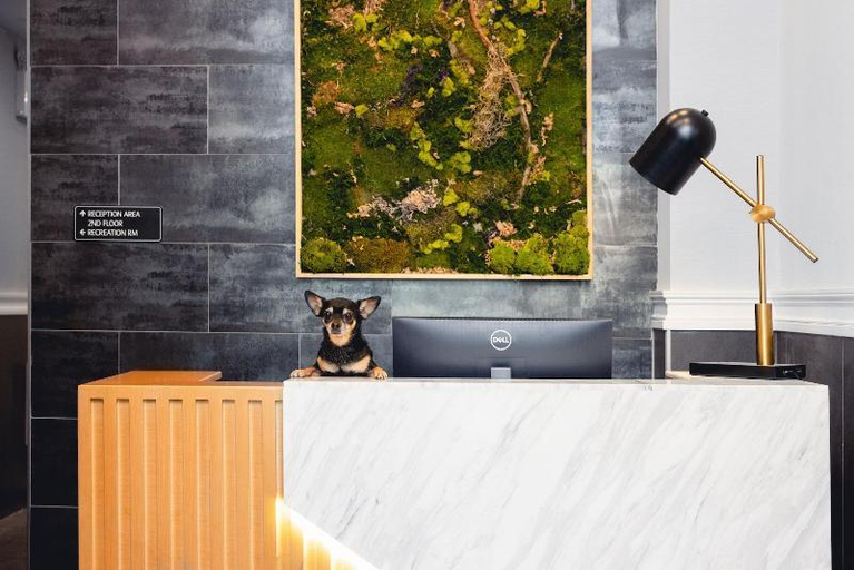 Public Area, The Modernist Hotel, New York