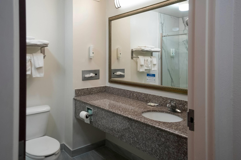 Bathroom 4, Quality Inn & Suites Dawsonville, Dawson