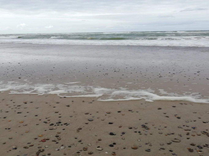 Others 5, 5 Star Holiday Home in Henne, Varde