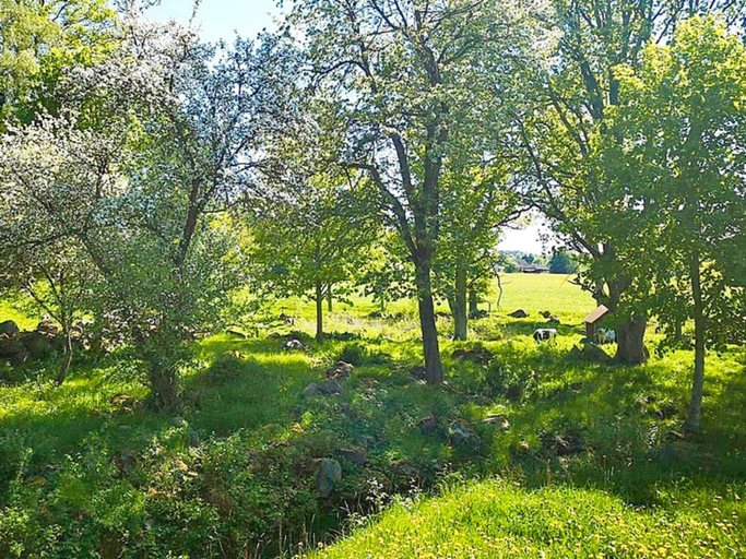 Others 5, 8 Person Holiday Home in Hogsby, Högsby