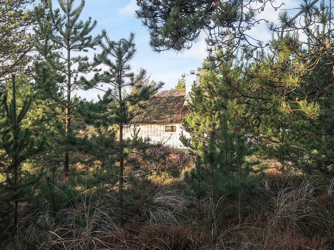 Others 4, 8 Person Holiday Home in Fjerritslev, Jammerbugt