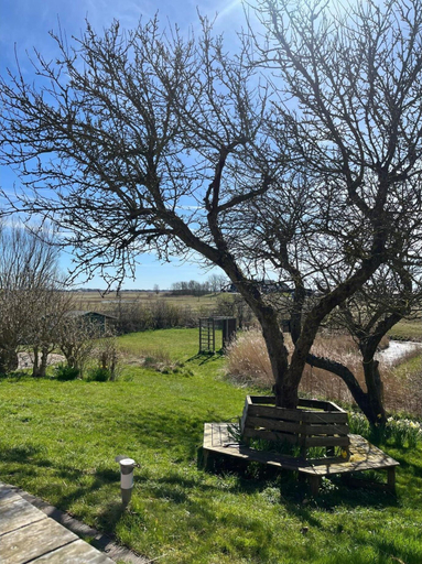 Others 4, Opas Hus auf Pellworm, Nordfriesland
