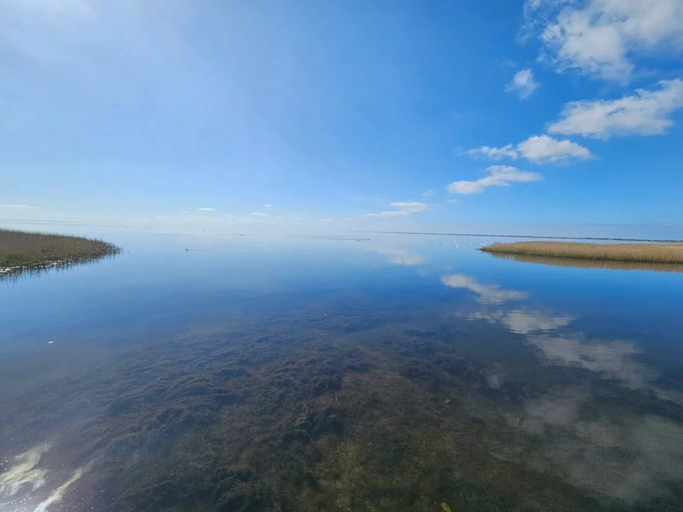 Others 5, 4 Star Holiday Home in Ringkobing, Ringkøbing-Skjern