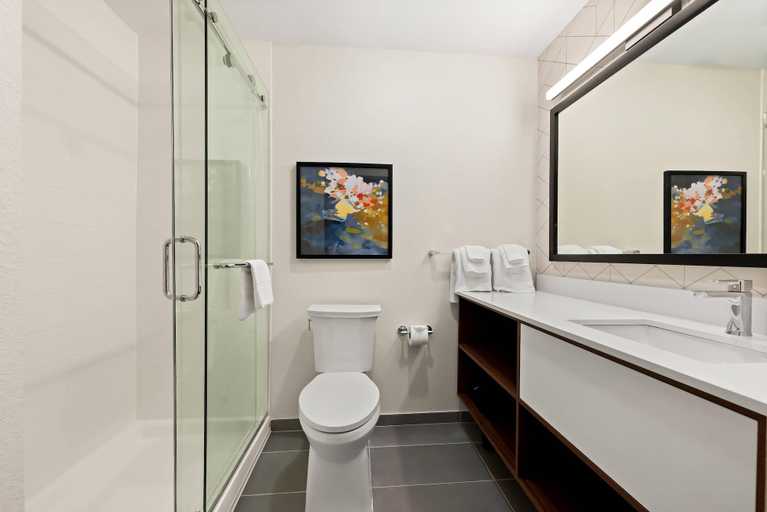 Bathroom 4, Everhome Suites Huntsville - Research Park, Madison