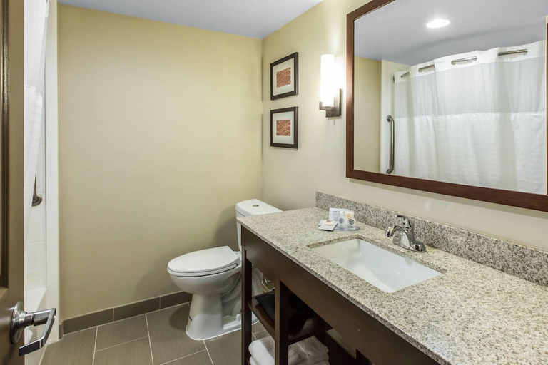 Bathroom, Comfort Inn & Suites Knoxville West, Knox