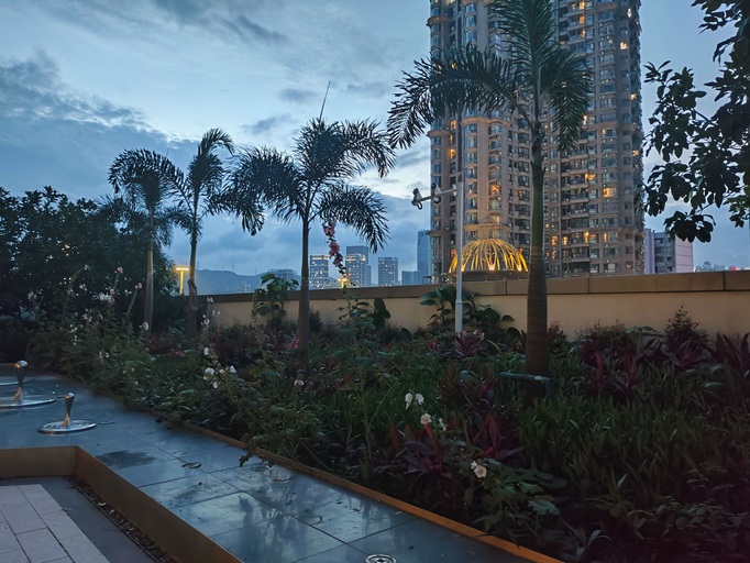 Others 5, Healing Warm Home, Shenzhen