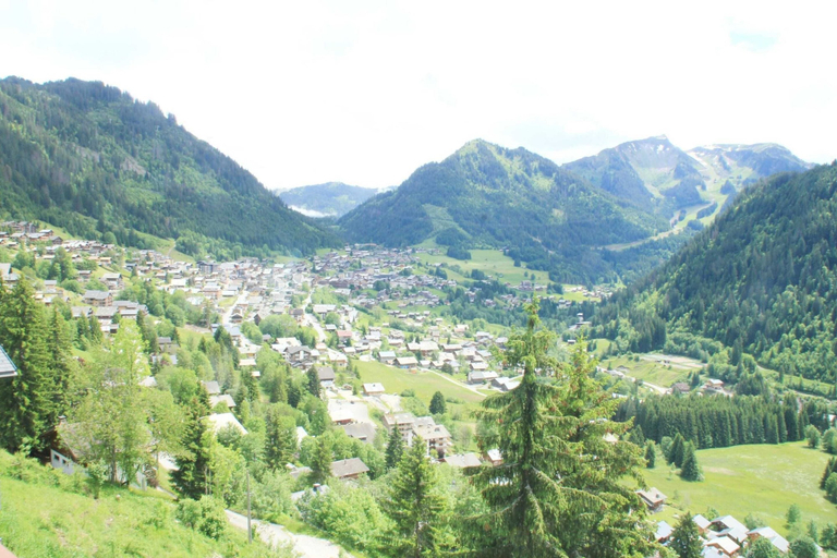 Others 3, Apartment Near Portes du Soleil ski Area, Haute-Savoie