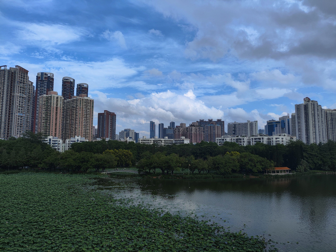 Others 4, Healing Warm Home, Shenzhen