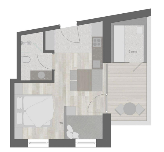Others 2, Apartment fur bis zu 4 Personen mit Sauna, Zell am See