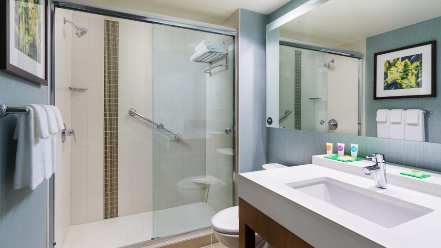 Bathroom 4, Hyatt Place St. Petersburg / Downtown, Pinellas