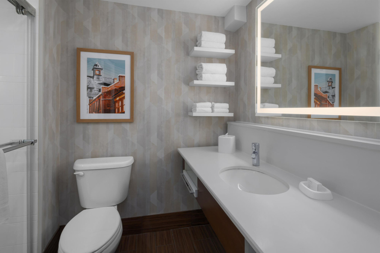 Bathroom 4, Hampton Inn Winchester-University/Mall Area, Winchester