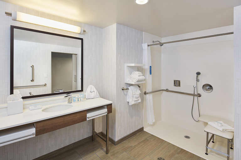 Bathroom 4, Hampton Inn & Suites Sacramento at Csus, Sacramento