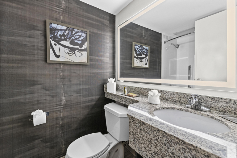 Bathroom 5, DoubleTree by Hilton Raleigh Midtown, NC, Wake