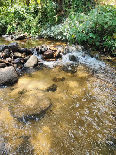 Others 5, Chertarn Homestay, Doi Saket