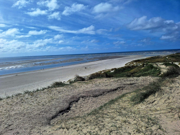 Others 1, 4 Person Holiday Home in Blavand, Varde