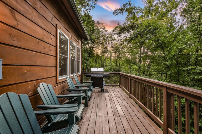 Others 3, Shamrock Valley 1 Bedroom Cabin, Sevier