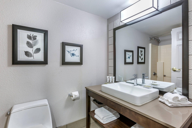 Bathroom 4, Country Inn & Suites by Radisson, Mesa, AZ, Maricopa