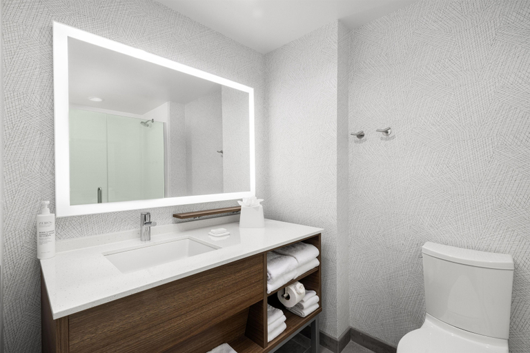 Bathroom 3, Home2 Suites By Hilton Dry Ridge, Grant