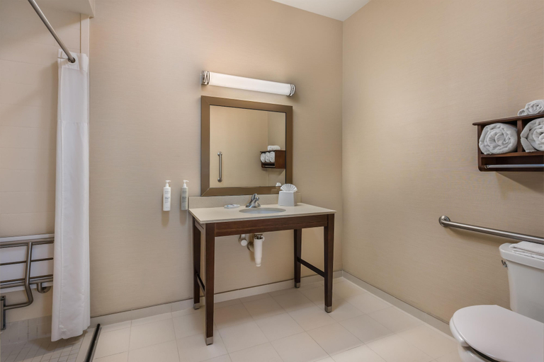 Bathroom 4, Hampton Inn & Suites Ocala, Marion