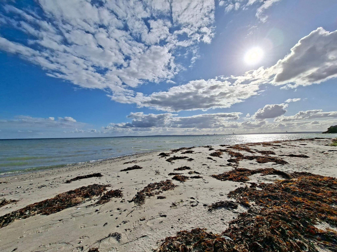 Others, 4 Star Holiday Home in Knebel, Syddjurs